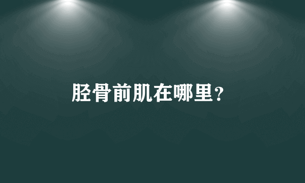 胫骨前肌在哪里？