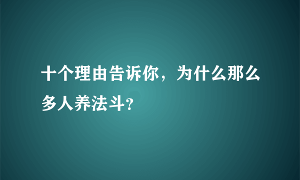 十个理由告诉你，为什么那么多人养法斗？