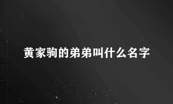 黄家驹的弟弟叫什么名字
