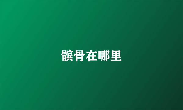 髌骨在哪里
