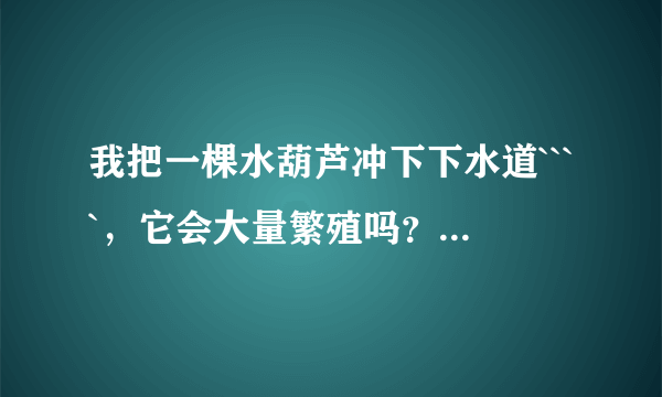 我把一棵水葫芦冲下下水道````，它会大量繁殖吗？我现在很担心