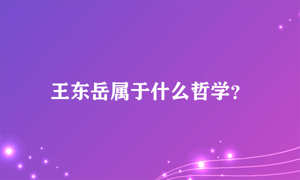 王东岳属于什么哲学？