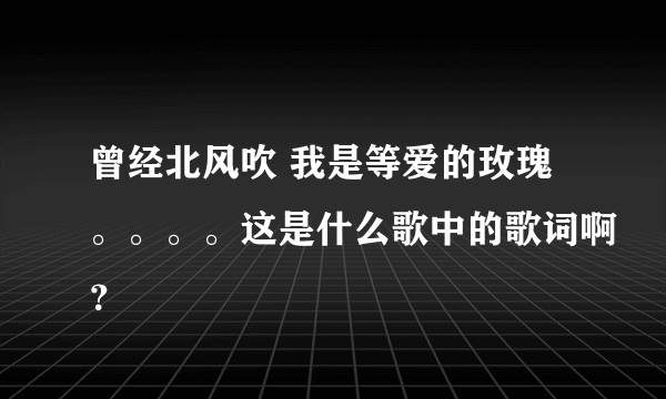 曾经北风吹 我是等爱的玫瑰。。。。这是什么歌中的歌词啊？