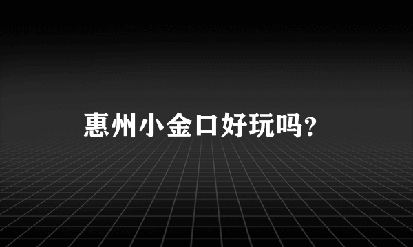 惠州小金口好玩吗？