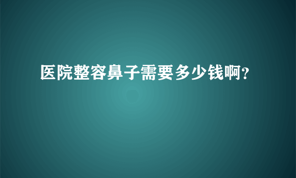 医院整容鼻子需要多少钱啊？