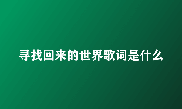 寻找回来的世界歌词是什么