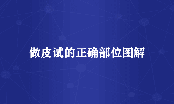做皮试的正确部位图解