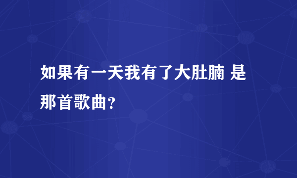 如果有一天我有了大肚腩 是那首歌曲？