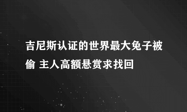 吉尼斯认证的世界最大兔子被偷 主人高额悬赏求找回