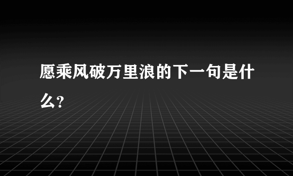 愿乘风破万里浪的下一句是什么？