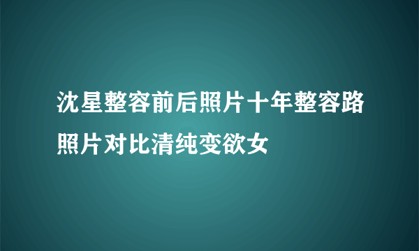 沈星整容前后照片十年整容路照片对比清纯变欲女