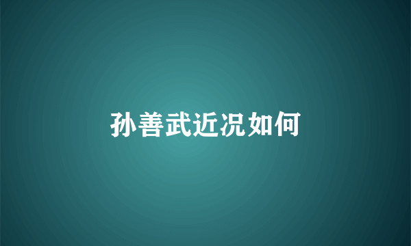 孙善武近况如何