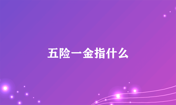 五险一金指什么