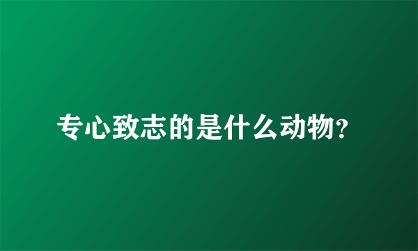 专心致志的是什么动物？
