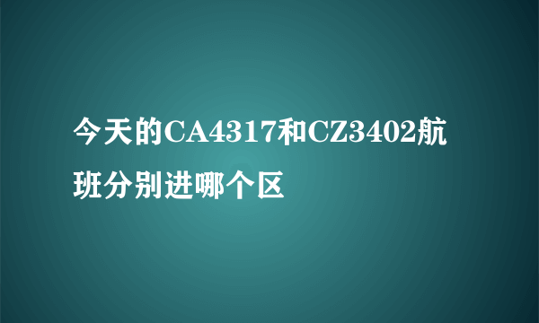 今天的CA4317和CZ3402航班分别进哪个区