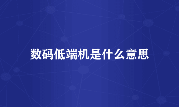 数码低端机是什么意思
