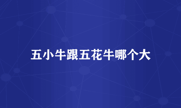 五小牛跟五花牛哪个大