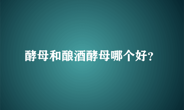 酵母和酿酒酵母哪个好？