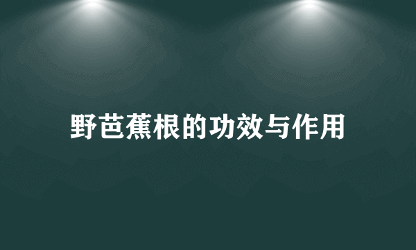 野芭蕉根的功效与作用