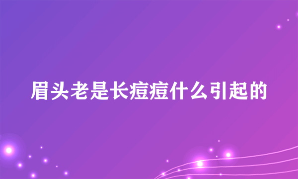 眉头老是长痘痘什么引起的