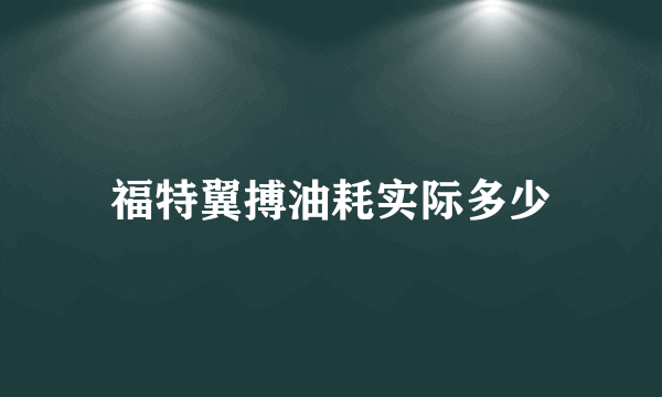 福特翼搏油耗实际多少