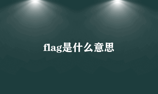 flag是什么意思