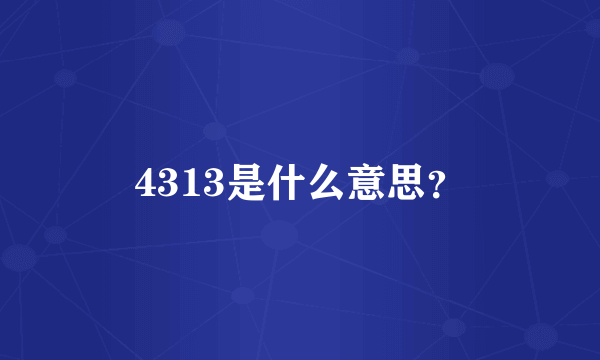 4313是什么意思？