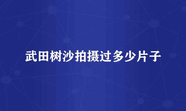 武田树沙拍摄过多少片子