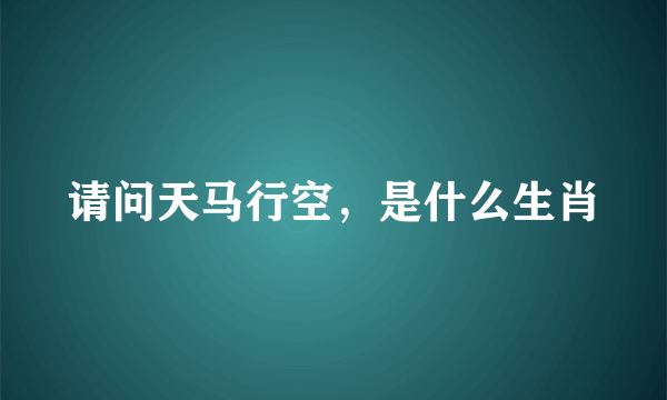 请问天马行空，是什么生肖