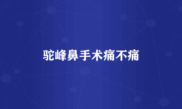 驼峰鼻手术痛不痛