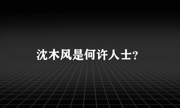沈木风是何许人士？