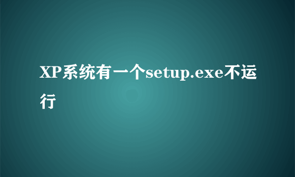 XP系统有一个setup.exe不运行