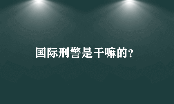 国际刑警是干嘛的？