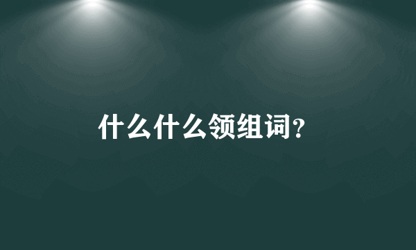 什么什么领组词？