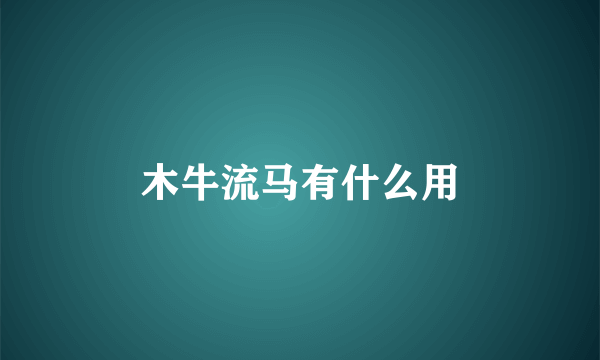 木牛流马有什么用