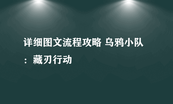 详细图文流程攻略 乌鸦小队：藏刃行动