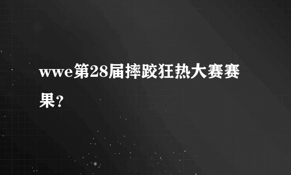 wwe第28届摔跤狂热大赛赛果？
