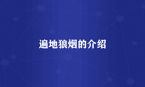遍地狼烟的介绍