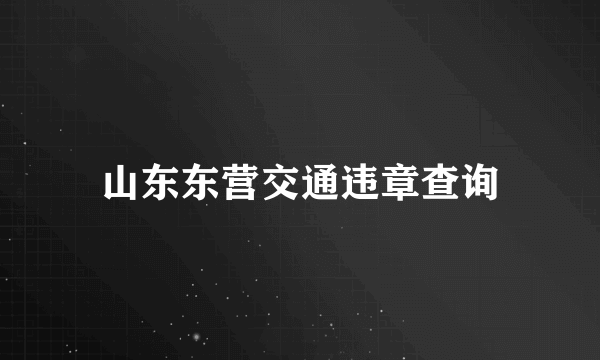 山东东营交通违章查询