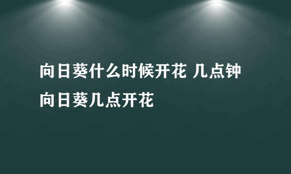 向日葵什么时候开花 几点钟 向日葵几点开花