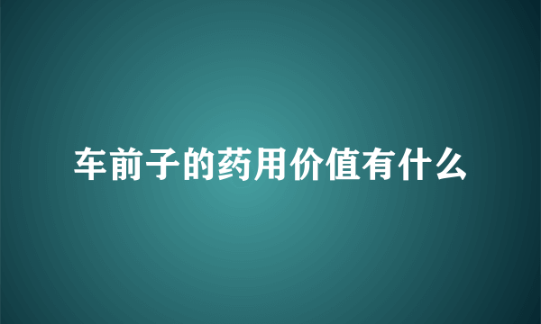 车前子的药用价值有什么