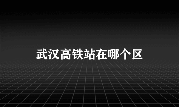 武汉高铁站在哪个区