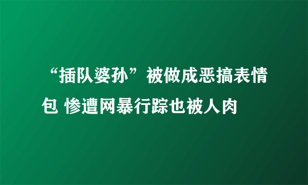 “插队婆孙”被做成恶搞表情包 惨遭网暴行踪也被人肉
