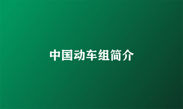 中国动车组简介