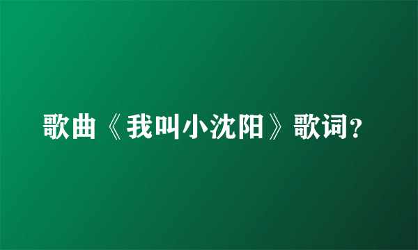 歌曲《我叫小沈阳》歌词？
