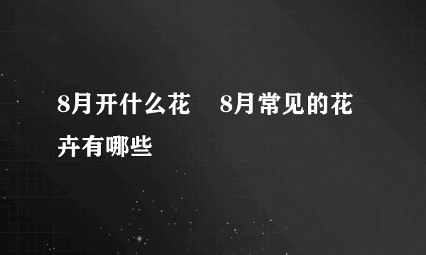 8月开什么花    8月常见的花卉有哪些