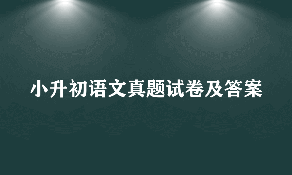 小升初语文真题试卷及答案