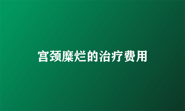 宫颈糜烂的治疗费用