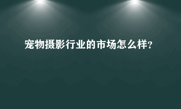 宠物摄影行业的市场怎么样？