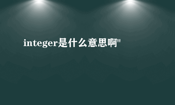 integer是什么意思啊